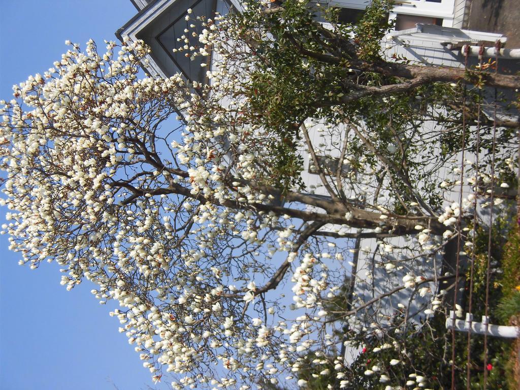 Holiday Home Apple อิโตะ ภายนอก รูปภาพ